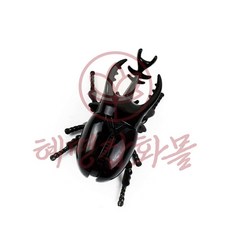 혜명마트 파워업비틀킹 낱개 1개