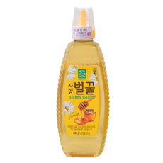 녹차원 사양벌꿀 800Gx2 꿀차, 2개, 800g