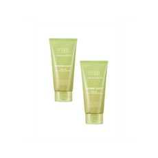 브링그린 사철쑥 카밍 EX 모델링팩 클렌저 클렌징 폼 120ml 1+1 2개