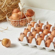 난각번호1번 방사 유정 구운란 맥반석계란 더 고소하고 쫀쫀한 군달걀, 1개, 20구