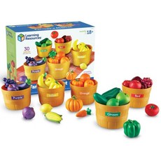 4세완구 색깔공부 색인지 분류하기 과일놀이 세트/ 색깔나누기 숫자세기 수연산교구, 1개