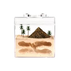 螞蟻帝國漫遊埃及地底屋一體式立體單面石膏巢中型，打造舒適螞蟻家園, 1個