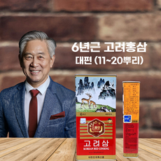 6년근 고려홍삼 대편 (6~10뿌리), 4개