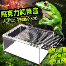 帥哥水族【RepPark】壓克力 爬蟲盒【磁吸式滑蓋】飼養盒 磁吸 爬蟲 飼養箱 守宮 角蛙 蛇 鼠 蠍子 蜘蛛, 小-20x15x15公分, 1個