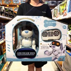 지능형 AI RC 로봇 강아지 음성 대화 APP 원격 제어 프로그래밍 가능, 6602 기계식 고양이  충전 쇼핑몰 선물 상자 모델