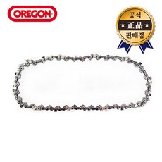 OREGON 체인톱날 NA2175150 254mm 90x20 DCM565용, OREGON 체인톱날 NA2175150 254mm 90, 1개