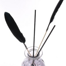 캔들아이 깃털 디퓨저 스틱_올블랙