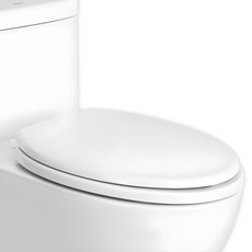 O자형 변기시트 세트, 1개