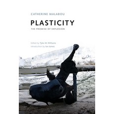 (영문도서) Plasticity: The Promise of Explosion Paperback, Edinburgh University Press, English, 9781474462129