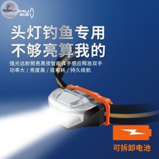 釣友俱樂部 充電款感應頭燈 強光野釣戶外漁具夜釣燈, 80mAh, 1個