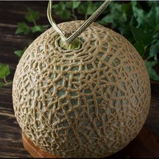 설 추석 명절 메론 선물세트 2과수 로얄과 선물용 메론, 단품, 1개