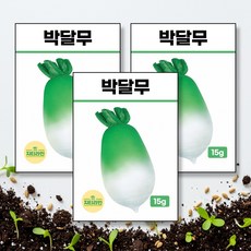 박달무 씨앗 종자 15g, 3개