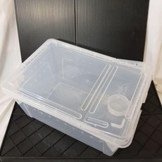 P老闆水族爬蟲飼養盒：小/中/大尺寸，適用於樹棲、蜘蛛、守宮、烏龜等，兩棲爬蟲飼養箱，含爬台, 大, 1個