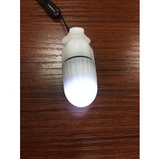 랜턴 인식등 스쿠버, 화이트