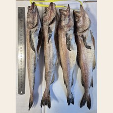 깔끔손질 반건조 코다리 4미 (소)