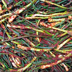 모든재료 100% 국내산 파김치 당일제조 아삭한 감칠맛, 1개, 3kg