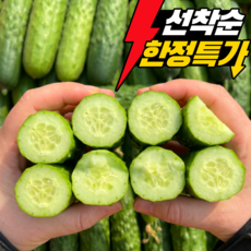 국내산 백오이 백다다기오이 산지직송, 1개, 백오이(특)1kg(4-5개)