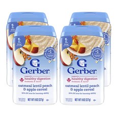 거버 시리얼 2nd Foods 오트밀 렌틸콩 복숭아 & 사과 (8oz), 227g, 4개, 복숭아 사과