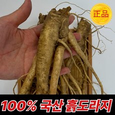 [오늘특가] 국산 도라지 흙 약도라지, 1박스, 단하루특가 흙도라지_1KG 실속