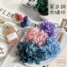 永生木繡球 單色安娜繡球 不凋花 純色小花瓣 繡球 繡球花 永生花 乾燥花 花材 手作 永生繡球, Ｄ 聖誕綠,大盒裝// 約２０克