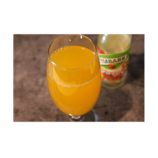 유럽 폴란드 복숭아오렌지 병음료세트, 250ml, 8개