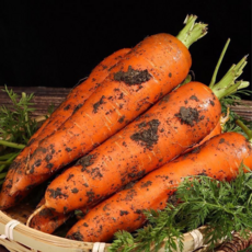 [마지막초특가] 딱100분한정 아삭달콤 산지직송 제주당근, 1박스, 5kg