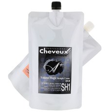 디어스 슈보 에이플러스 볼륨매직 스트레이트 1제+2제, 강모(크림), 1개, 500ml