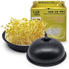 새싹재배기 (국내생산) 콩나물재배기 새싹키우기 유치원 어린이집, 무지박스, 블랙