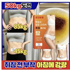 {전신 부착 가능}순식물다이어트 패치 팔뚝살 패치 뱃살 독소패치 복부 내장지방분해 허리 다리 종아리 패치, 2개, 13개입