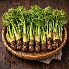 [파격특가] 국산 자연산 참두릅 특품, 500g, 1박스