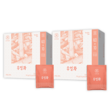 오색다원 우엉차, 2개, 50개입, 1g