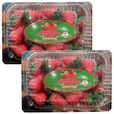 스퀴즈팝 딸기맛 구미 젤리 캔디, 576g, 2개