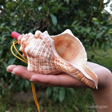 나각 대형 소라 공예 호루라기 뿔나팔 뿔피리, 8-10cm 붉은달팽이 * 1개, 1개