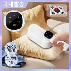 RichMagic 접이식 핸드형스팀다리미 2in1 휴대용 핸드 여행용 스팀 다리미 습식 건식, 화이트, 1개