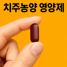 온맘담은 프로폴리스 치주농양 영양제 잇몸건강 구강항균 치아건강 구취완화 구강청결 치아보호, 4개, 90정