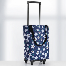 홈리얼 에코백 변신 캐리어 카트, A-1, 1개