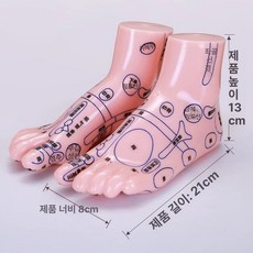 한의원 발 15cm 리플렉솔로지 모형 혈자리 실습 경혈위치 20cm 제품 마네킹 훈련, 3.21CM HD 발 모형