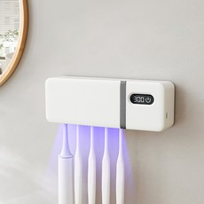 DelightZone 열풍건조 UV-C LED 가정용 칫솔 살균기 칫솔 거치대, 화이트, 621 PRO