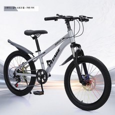 KN 20인치자전거 튼튼한자전거, 18인치 120-145cm, 실버 스포크 휠
