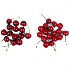 리얼 체리 모형 파츠 5개 인테리어 레진 공예 아트 폴꾸 탑꾸 슬라임 데코덴 만들기 소품 악세사리 부자재, 01 : 블랙체리(5개), 1개