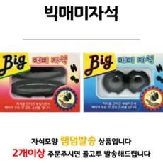 빅 매미자석
