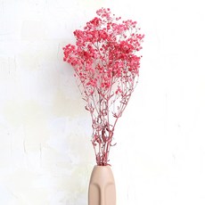 화연양화 프리저브드플라워 안개꽃 8색 시들지않는생화 디퓨저꽃, 03 레드