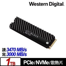 WD 黑標 SN750 1TB NVMe PCIe SSD 固態硬碟 (含散熱片)