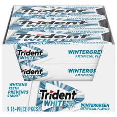 Trident 백설탕 무함유 껌 윈터그린 16개 9ct, 1개