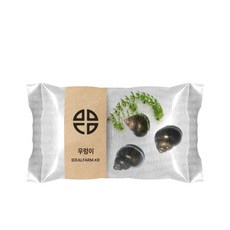 관찰 학습용 우렁이 키우기 자연과학