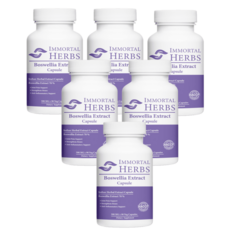 Immortal Herbs 보스웰리아 캡슐 70x 고농축 보스웰리아 1000mg x 90캡슐 알약, 6개, 90정