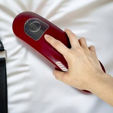 윌리 진드기청소기 매트리스청소기, 중