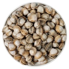 전라도청년 유네스코 고창 하전면 동죽조개 해감발송, 1개, 2kg