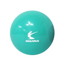 아이워너 웨이트볼 1.5kg 민트 1개 소프트 헬스 필라테스 공, 내도판다 본상품선택