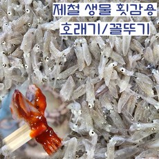 국내산 자연산 별미 제철 호래기 꼴뚜기, 1개, 1kg
